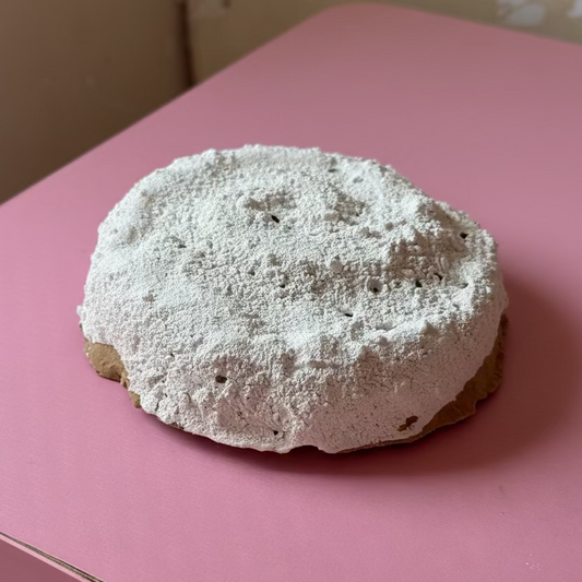 Cinnamon Roll